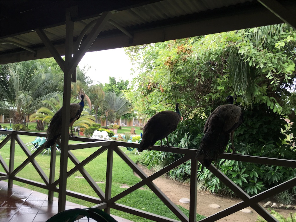 f:id:fuca-0211:20171204025700j:image