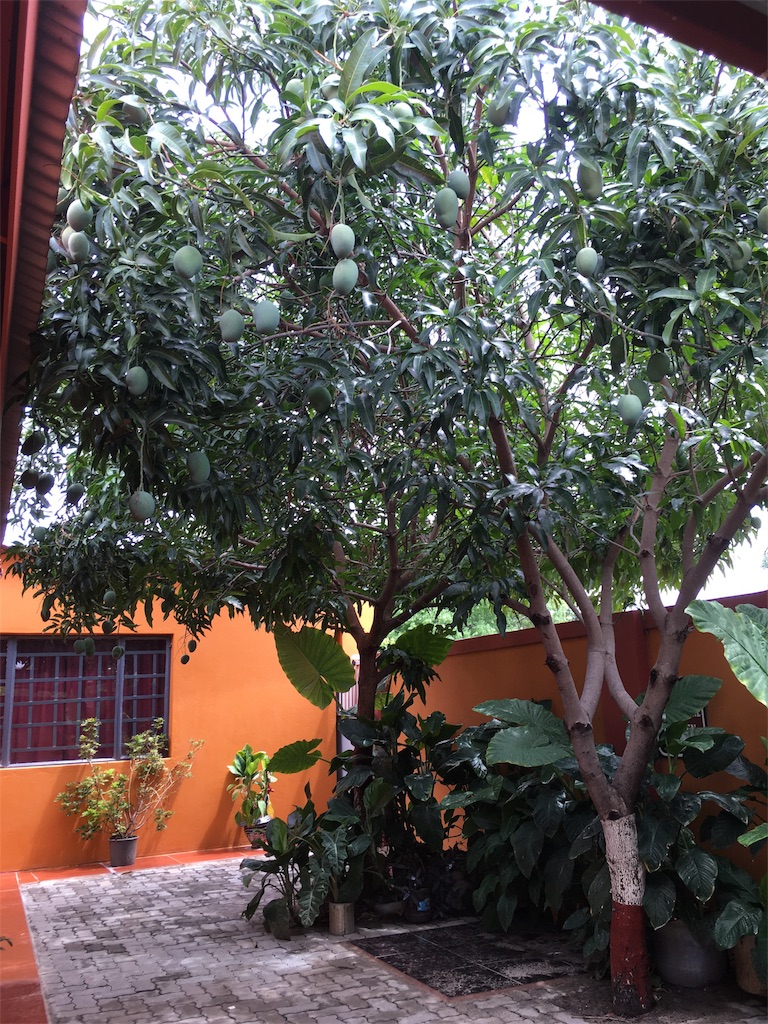 f:id:fuca-0211:20171210054716j:image