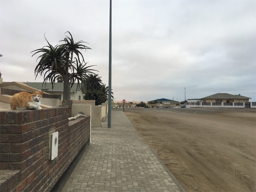 f:id:fuca-0211:20171220052324j:image f:id:fuca-0211:20171220052324j:image