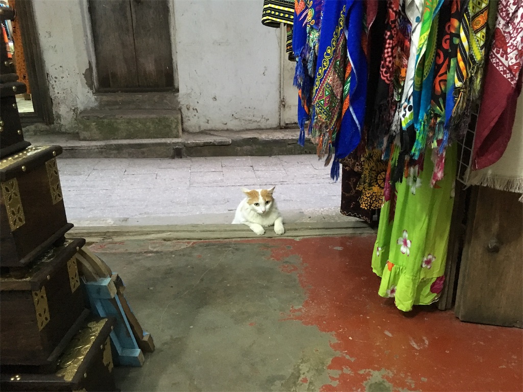 f:id:fuca-0211:20180102235829j:image