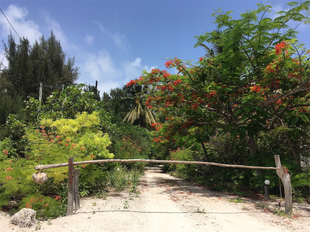 f:id:fuca-0211:20180102235847j:image