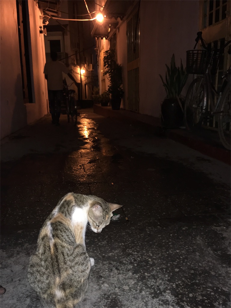 f:id:fuca-0211:20180102235851j:image