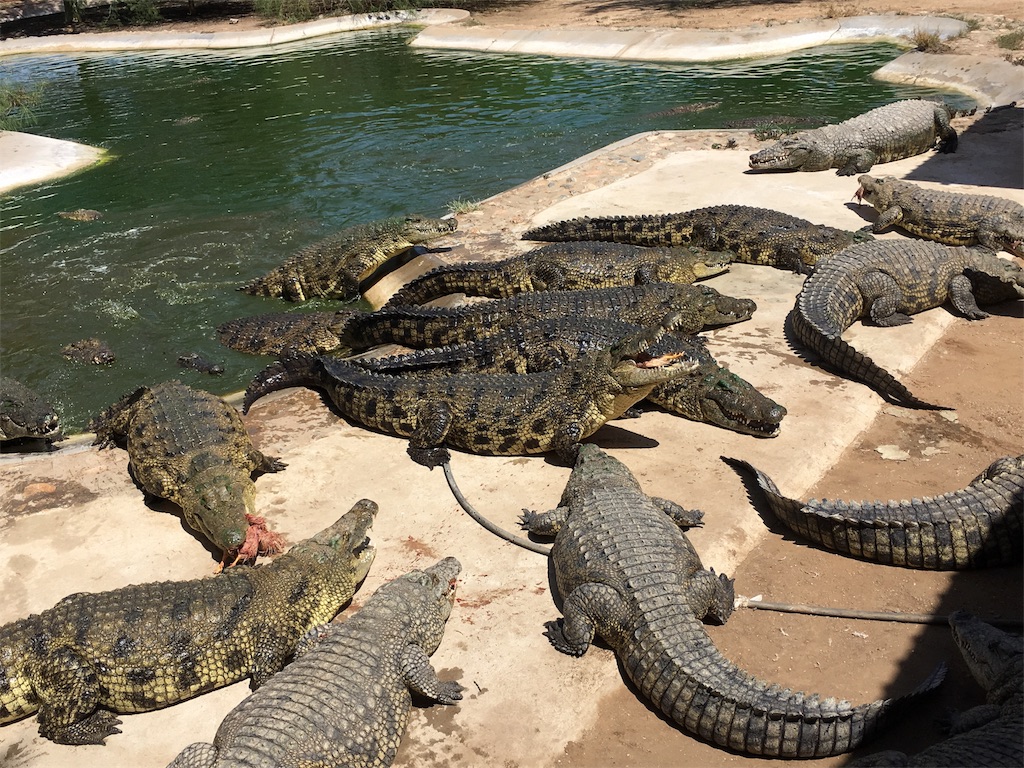 f:id:fuca-0211:20180204023040j:image