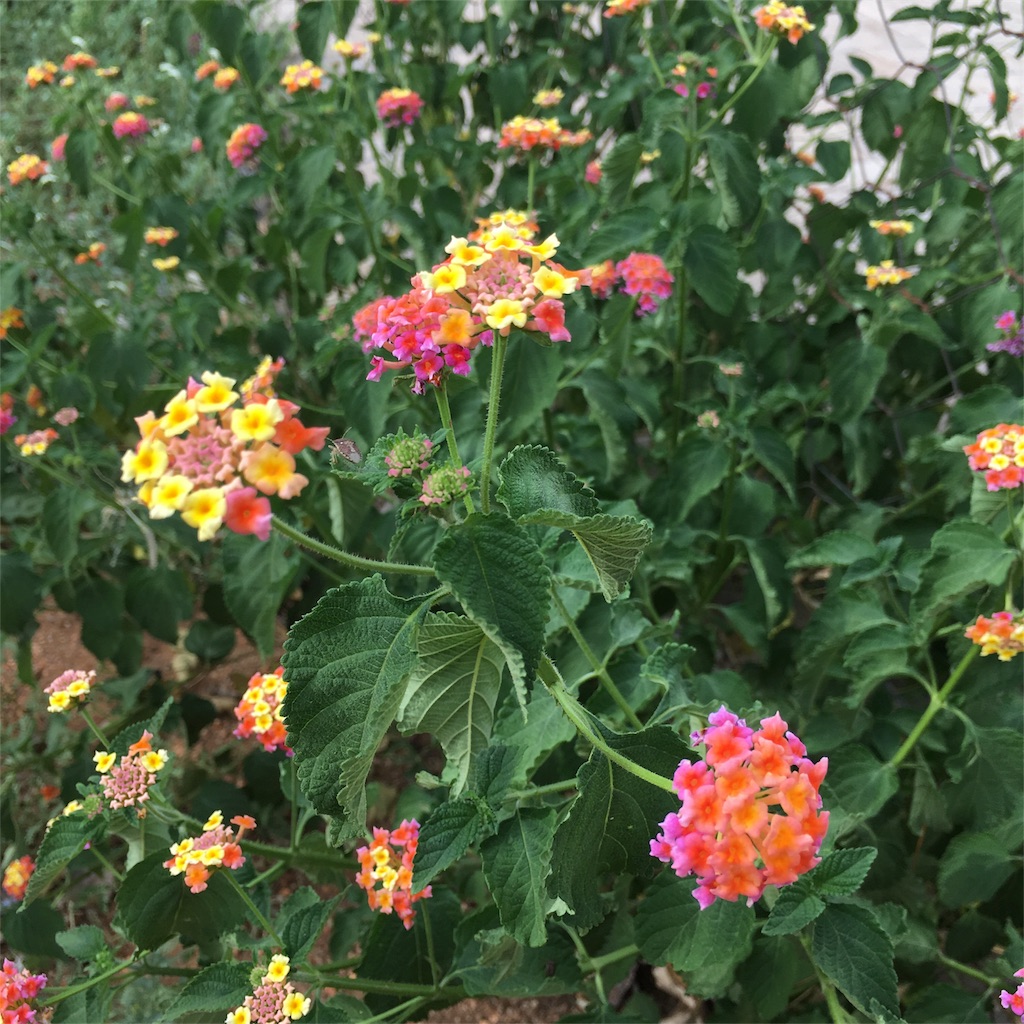f:id:fuca-0211:20180205041848j:image