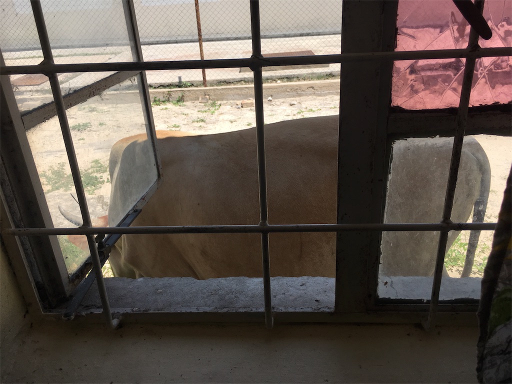 f:id:fuca-0211:20180213041442j:image f:id:fuca-0211:20180213041442j:image