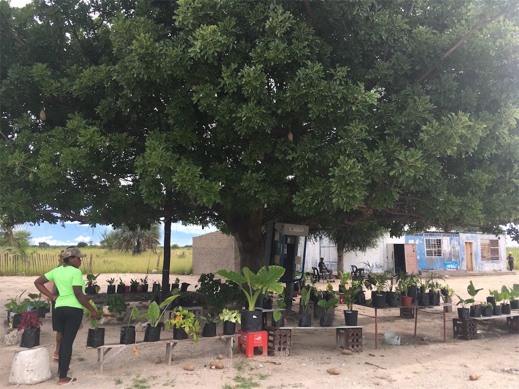 f:id:fuca-0211:20180305042610j:image