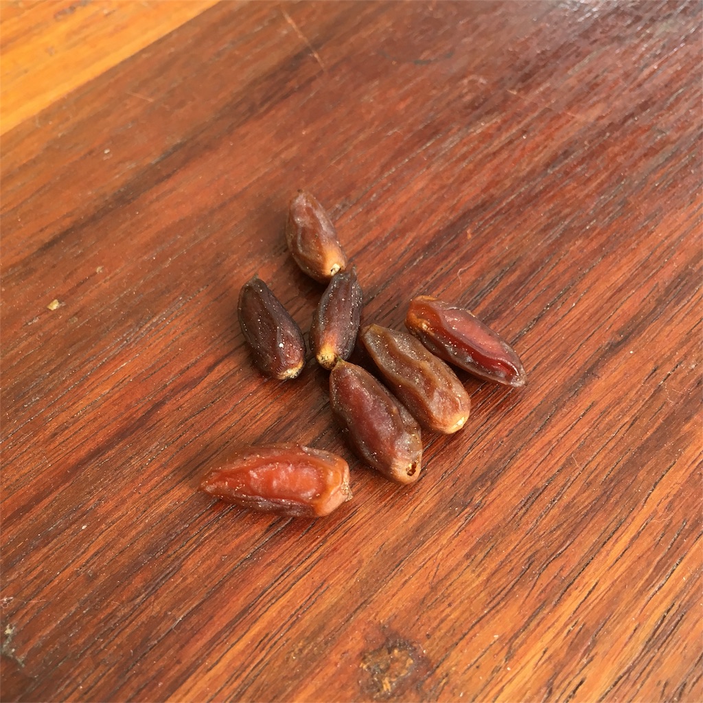 f:id:fuca-0211:20180305042747j:image