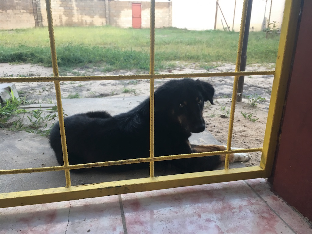 f:id:fuca-0211:20180307051804j:image