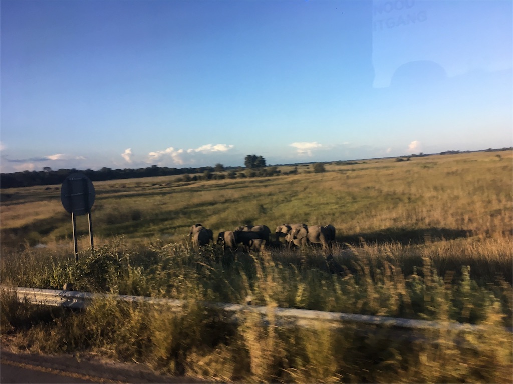 f:id:fuca-0211:20180403044116j:image f:id:fuca-0211:20180403044116j:image