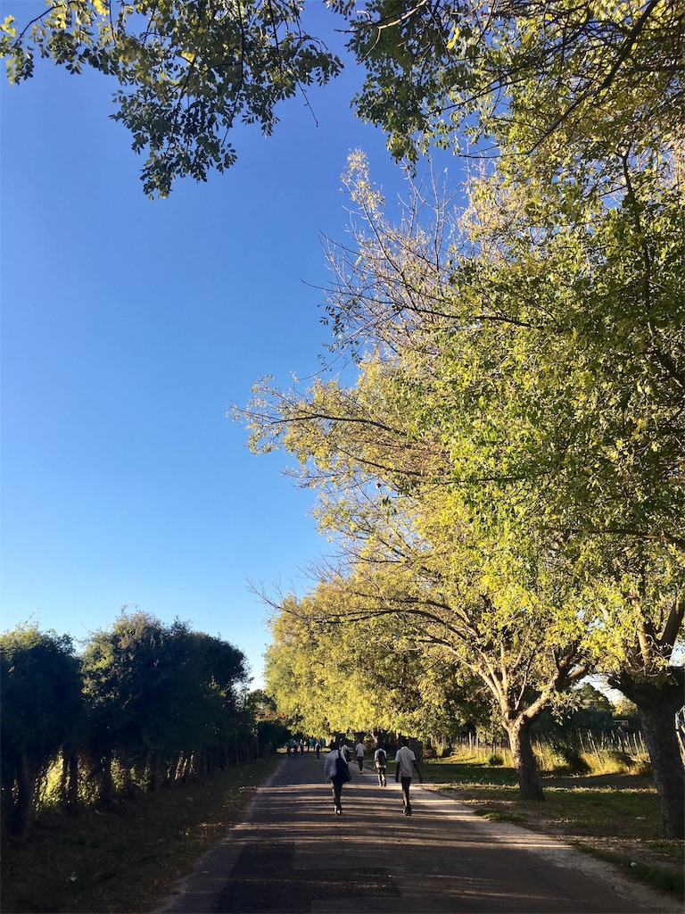f:id:fuca-0211:20180411050605j:image