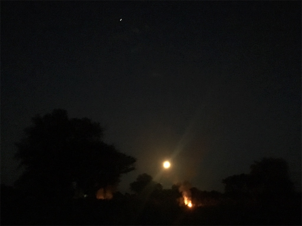 f:id:fuca-0211:20180530053224j:image