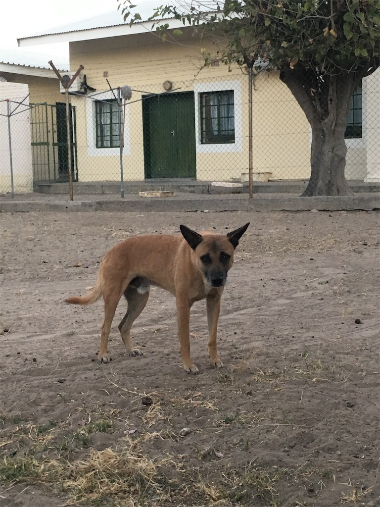f:id:fuca-0211:20180611042821j:image