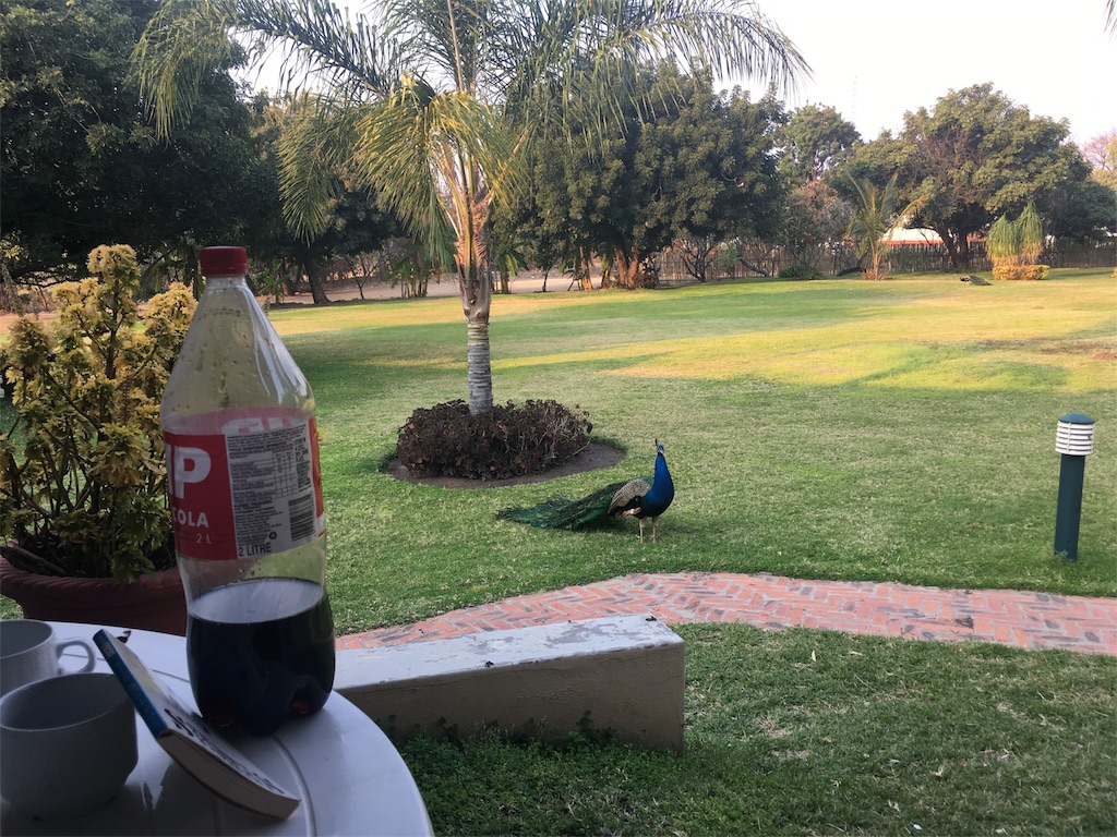 f:id:fuca-0211:20180804203912j:image