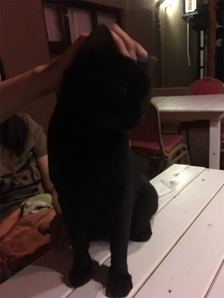 f:id:fuca-0211:20180830052134j:image