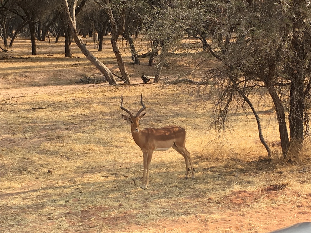 f:id:fuca-0211:20180901195942j:image