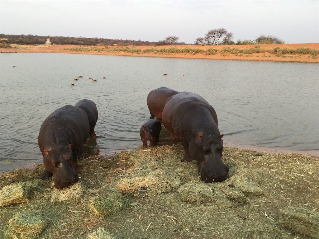 f:id:fuca-0211:20180901200036j:image