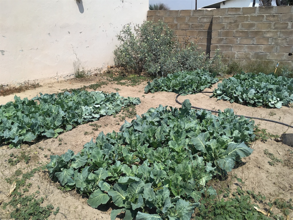 f:id:fuca-0211:20181002052309j:image