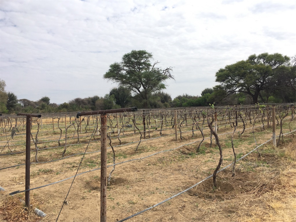 f:id:fuca-0211:20181006050705j:image