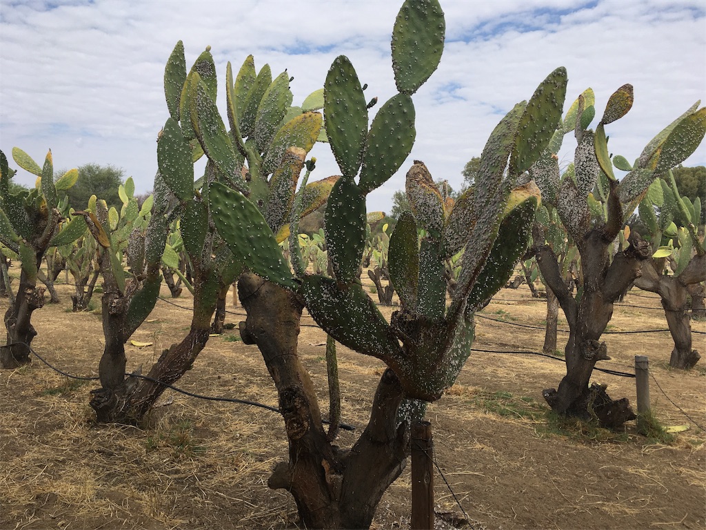 f:id:fuca-0211:20181006051050j:image