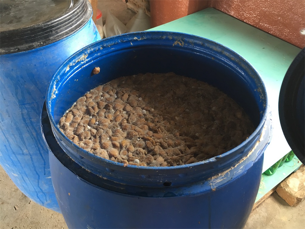 f:id:fuca-0211:20181006051246j:image