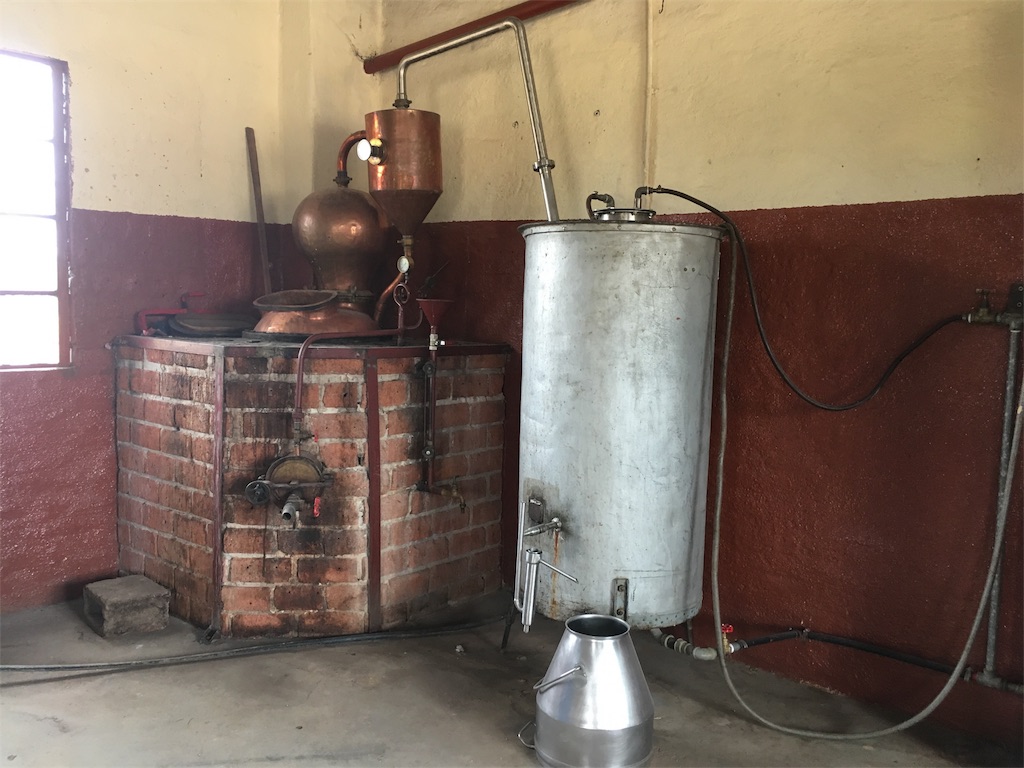 f:id:fuca-0211:20181006051700j:image