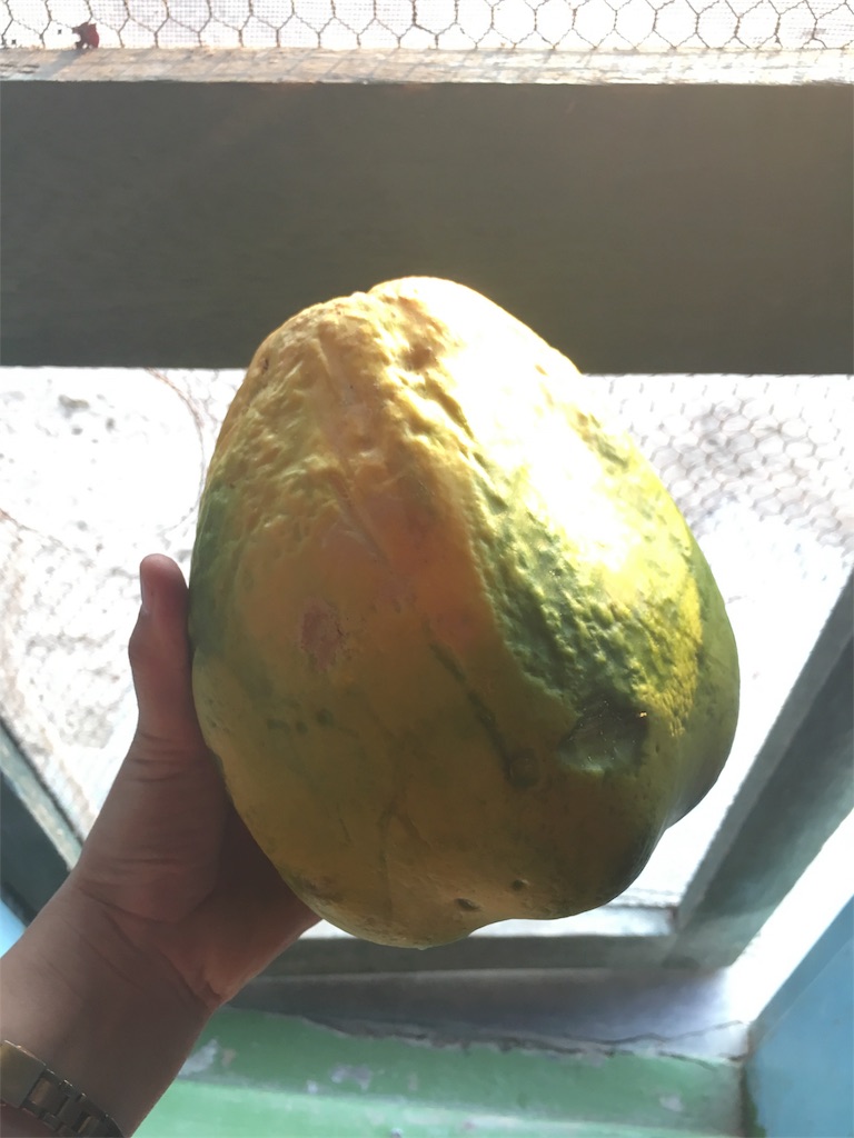 f:id:fuca-0211:20181012050037j:image