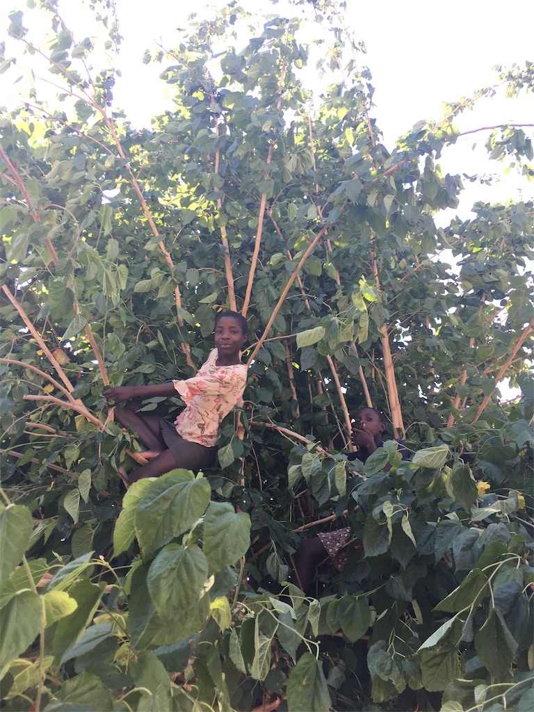 f:id:fuca-0211:20181013052707j:image f:id:fuca-0211:20181013052707j:image