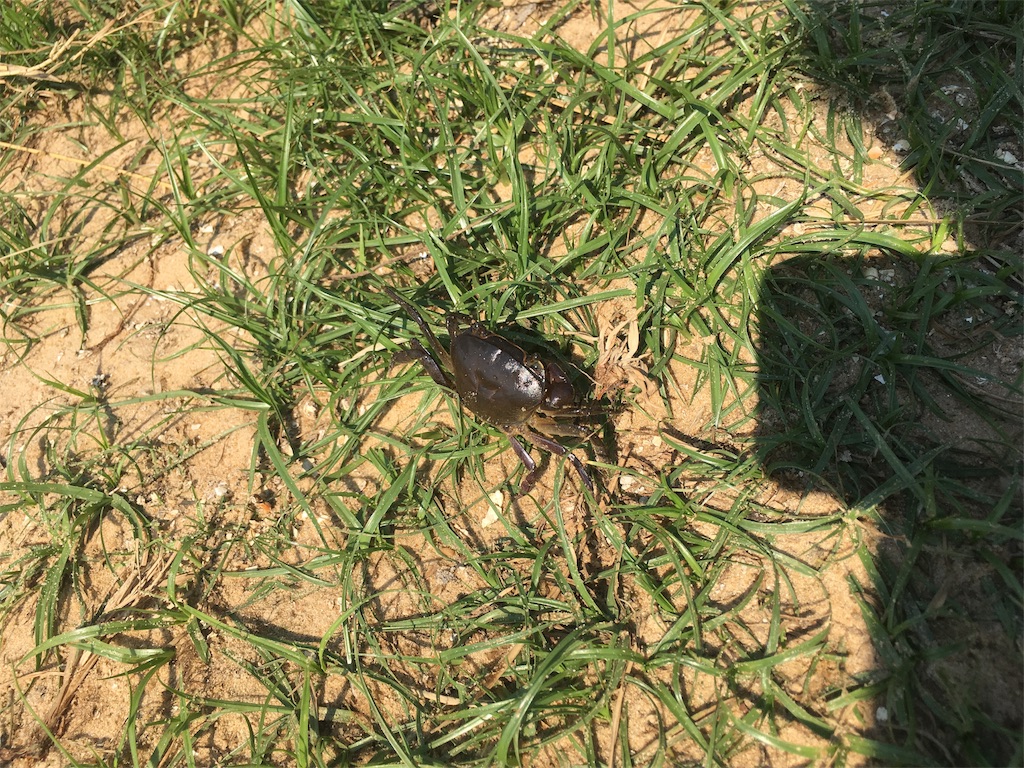 f:id:fuca-0211:20181013054833j:image f:id:fuca-0211:20181013054833j:image