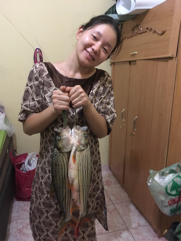 f:id:fuca-0211:20181016051737j:image f:id:fuca-0211:20181016051737j:image