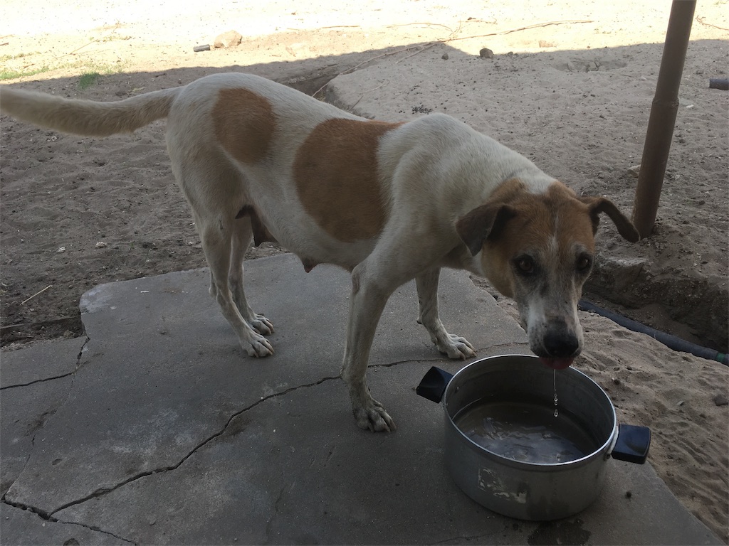 f:id:fuca-0211:20181101040939j:image