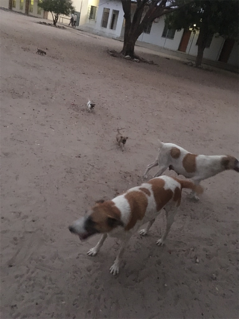 f:id:fuca-0211:20181104051111j:image f:id:fuca-0211:20181104051111j:image