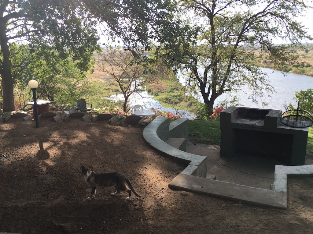 f:id:fuca-0211:20181201074328j:image