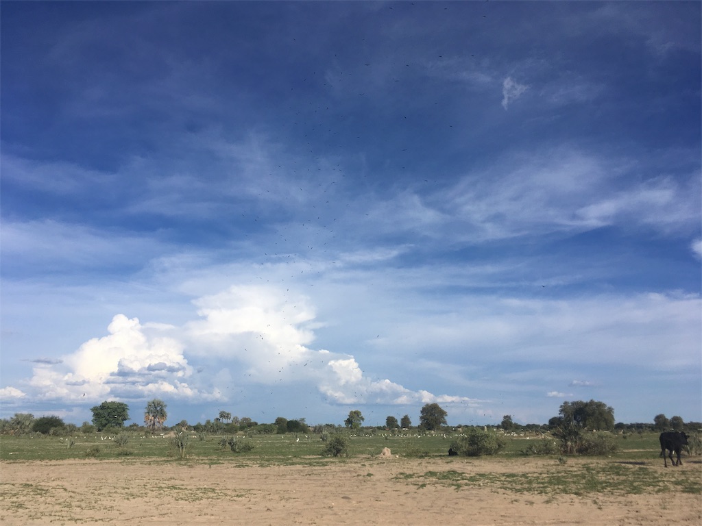 f:id:fuca-0211:20190107043549j:image