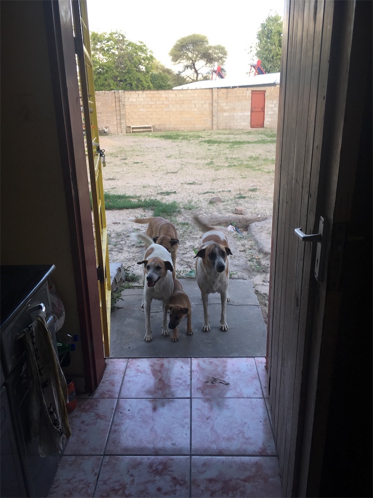 f:id:fuca-0211:20190108040423j:image f:id:fuca-0211:20190108040423j:image
