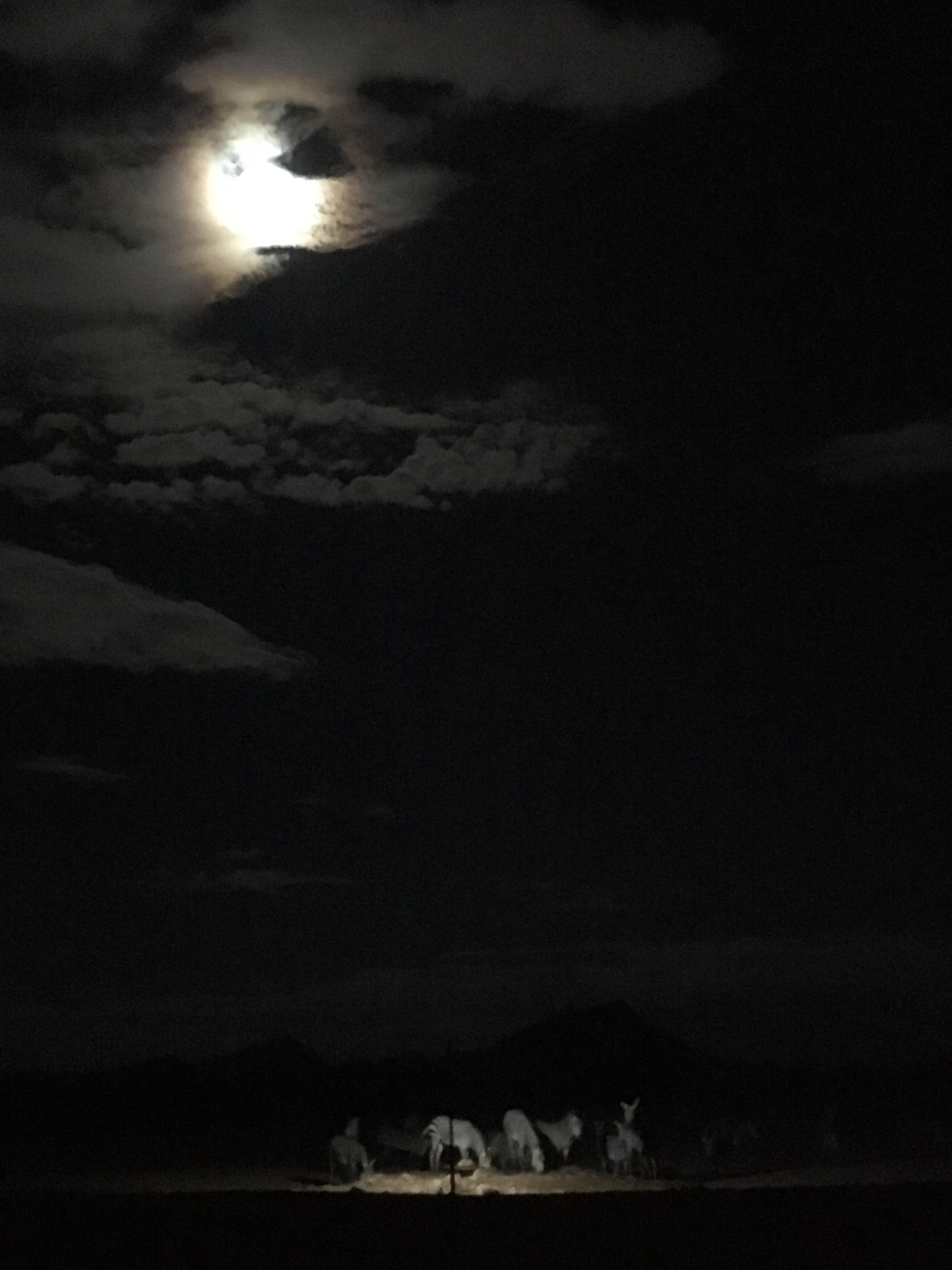f:id:fuca-0211:20190112193856j:image