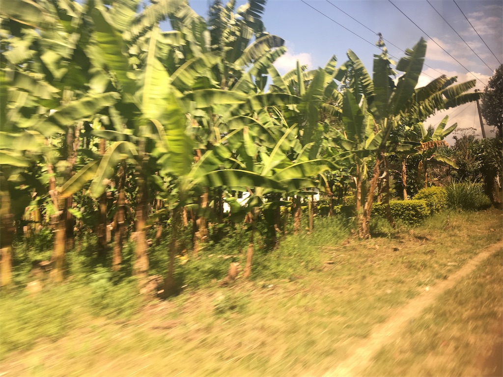 f:id:fuca-0211:20190114044019j:image