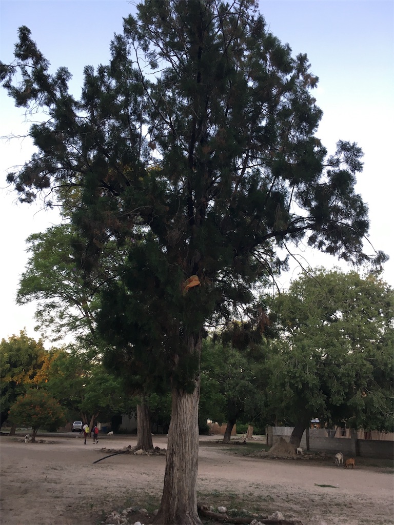 f:id:fuca-0211:20190127043332j:image