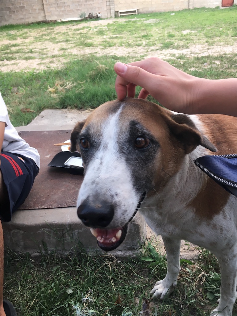 f:id:fuca-0211:20190204052525j:image