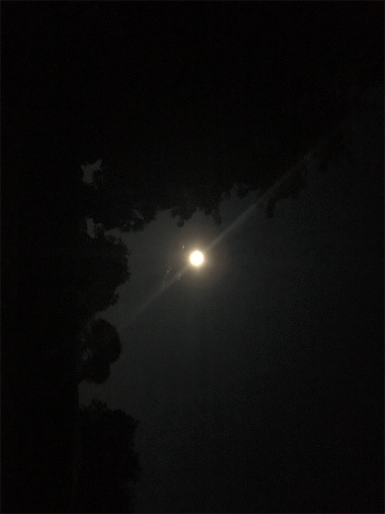 f:id:fuca-0211:20190220045153j:image f:id:fuca-0211:20190220045153j:image