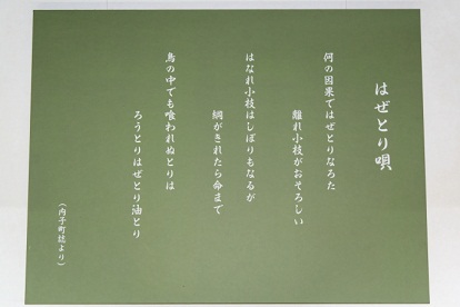 イメージ 13