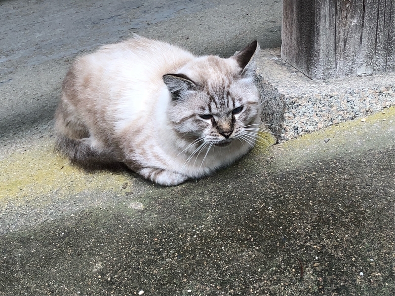 イメージ 9