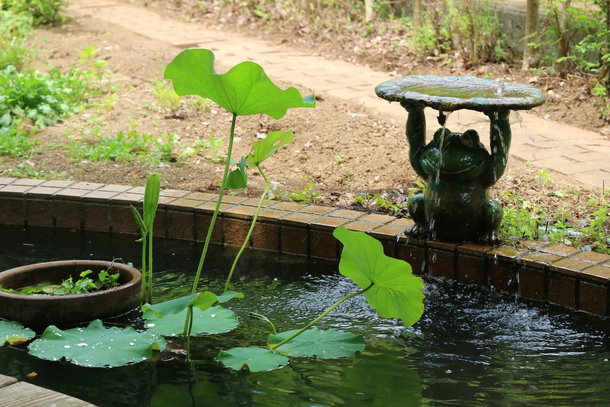 f:id:fuchanp4:20210727174120j:plain