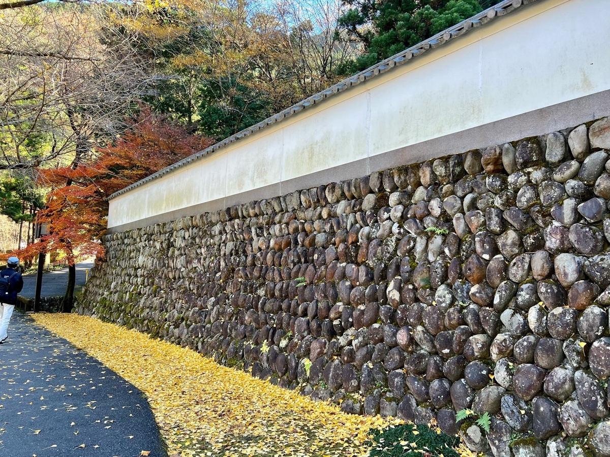 f:id:fuchanp4:20211130172145j:plain