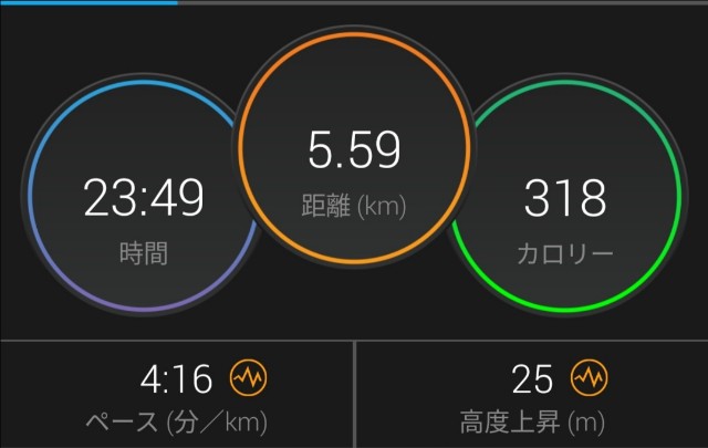 f:id:fuchipatch:20200623230106j:image
