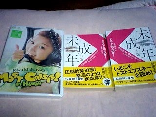 f:id:fuchirin:20090218235458j:image