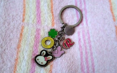 f:id:fuchirin:20161014161141j:image