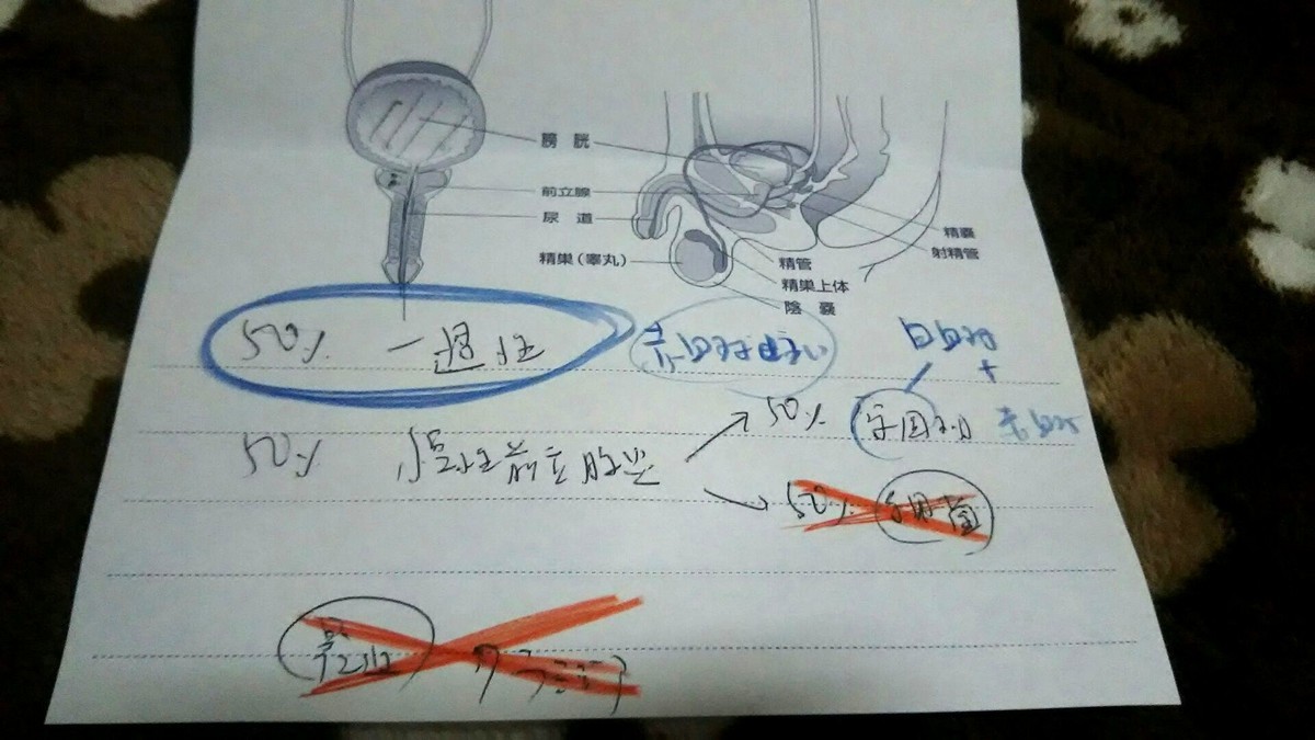 f:id:fuchirin:20191120222707j:plain