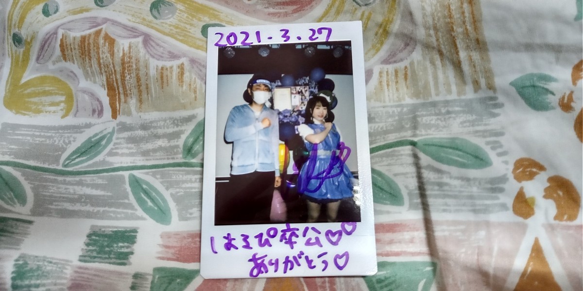f:id:fuchirin:20210405162646j:plain
