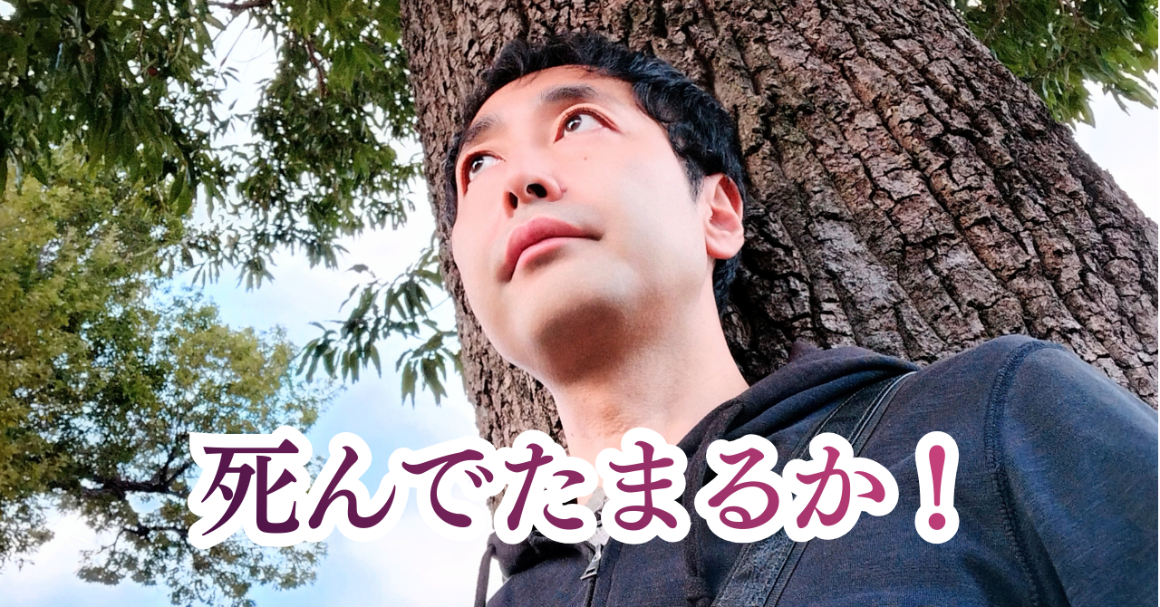 最新note記事