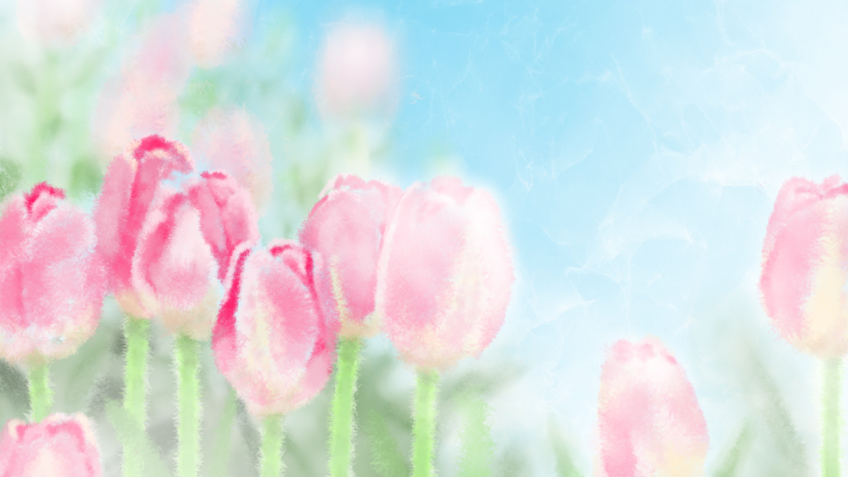チューリップのピンク色の花々が青空の下で咲き誇っているイラスト